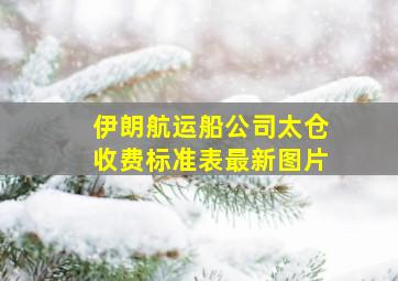 伊朗航运船公司太仓收费标准表最新图片