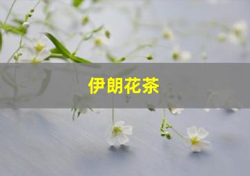 伊朗花茶