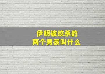 伊朗被绞杀的两个男孩叫什么