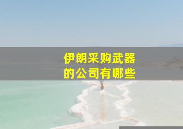 伊朗采购武器的公司有哪些