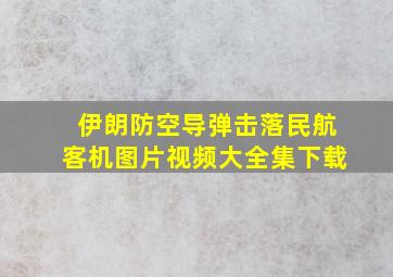 伊朗防空导弹击落民航客机图片视频大全集下载