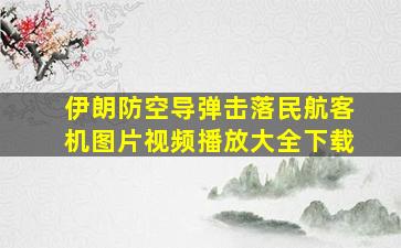 伊朗防空导弹击落民航客机图片视频播放大全下载