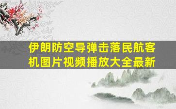 伊朗防空导弹击落民航客机图片视频播放大全最新