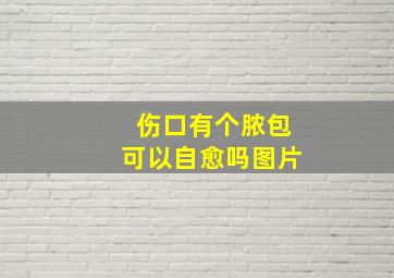 伤口有个脓包可以自愈吗图片