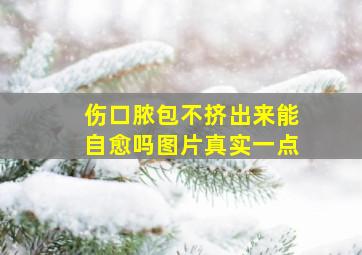 伤口脓包不挤出来能自愈吗图片真实一点