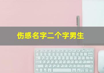 伤感名字二个字男生