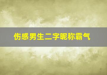 伤感男生二字昵称霸气