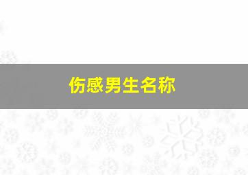 伤感男生名称