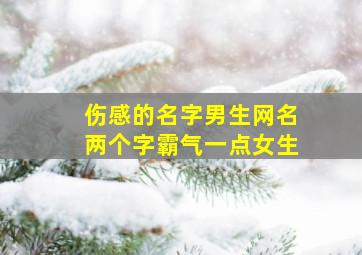 伤感的名字男生网名两个字霸气一点女生