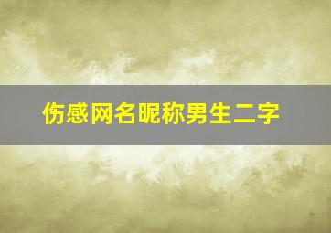 伤感网名昵称男生二字