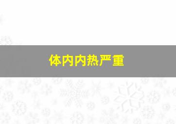 体内内热严重