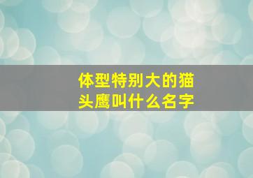 体型特别大的猫头鹰叫什么名字