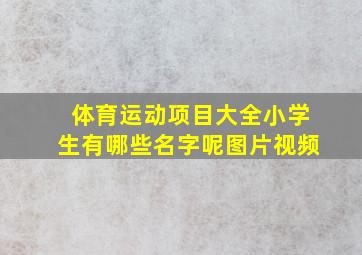 体育运动项目大全小学生有哪些名字呢图片视频