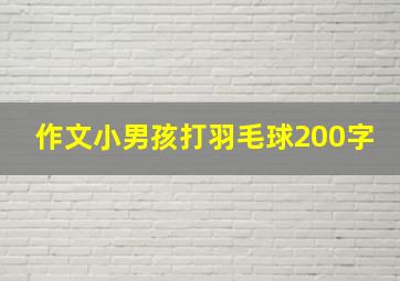 作文小男孩打羽毛球200字