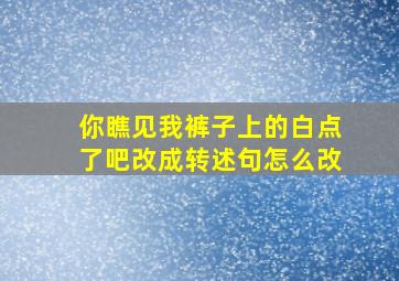 你瞧见我裤子上的白点了吧改成转述句怎么改