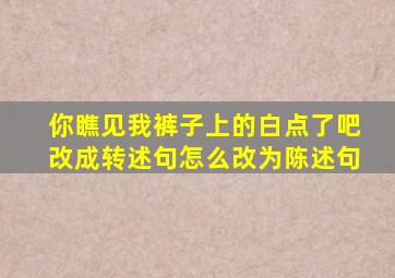 你瞧见我裤子上的白点了吧改成转述句怎么改为陈述句