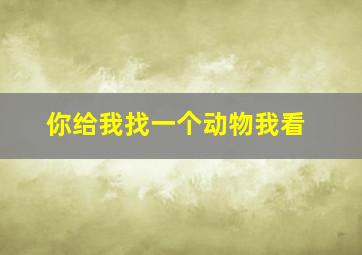 你给我找一个动物我看