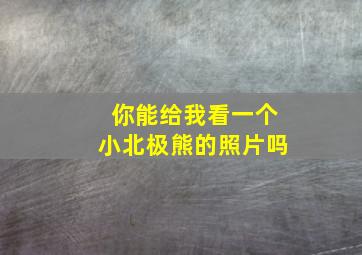 你能给我看一个小北极熊的照片吗