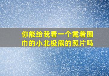 你能给我看一个戴着围巾的小北极熊的照片吗