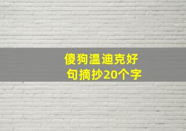 傻狗温迪克好句摘抄20个字