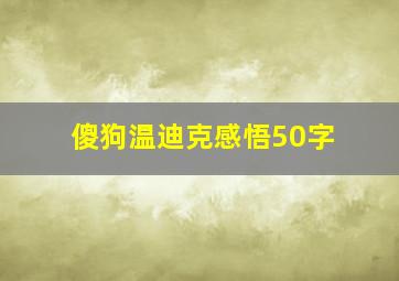 傻狗温迪克感悟50字