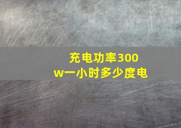 充电功率300w一小时多少度电