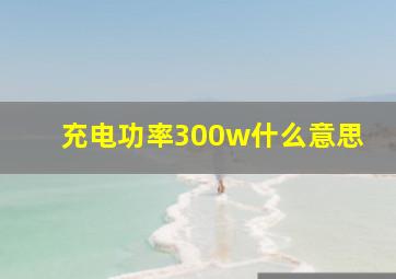 充电功率300w什么意思