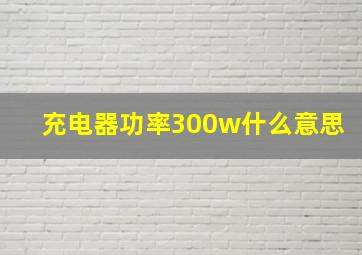 充电器功率300w什么意思