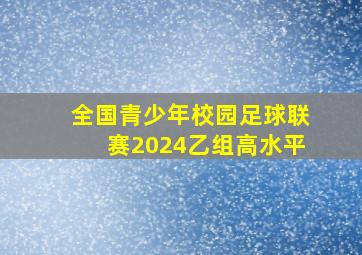 全国青少年校园足球联赛2024乙组高水平