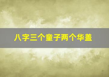 八字三个童子两个华盖