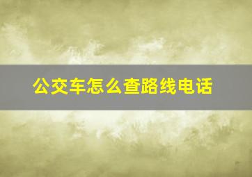 公交车怎么查路线电话