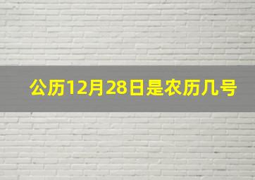 公历12月28日是农历几号