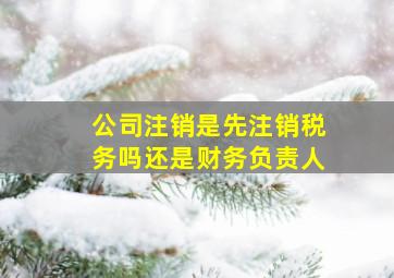 公司注销是先注销税务吗还是财务负责人