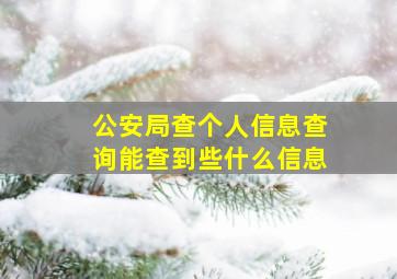 公安局查个人信息查询能查到些什么信息