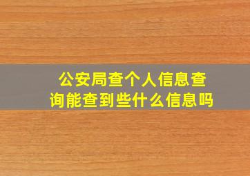 公安局查个人信息查询能查到些什么信息吗