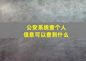 公安系统查个人信息可以查到什么