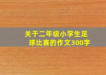 关于二年级小学生足球比赛的作文300字