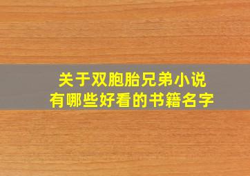 关于双胞胎兄弟小说有哪些好看的书籍名字