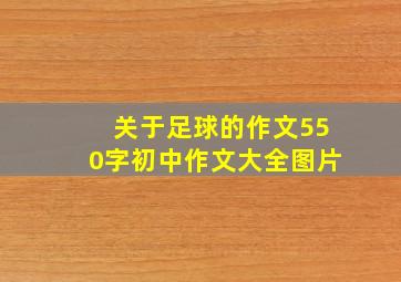 关于足球的作文550字初中作文大全图片