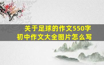 关于足球的作文550字初中作文大全图片怎么写