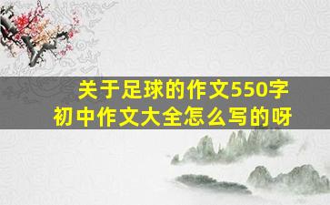 关于足球的作文550字初中作文大全怎么写的呀