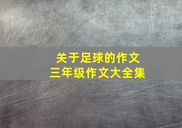 关于足球的作文三年级作文大全集