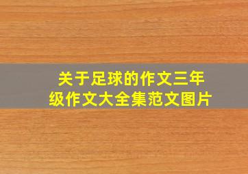 关于足球的作文三年级作文大全集范文图片