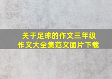 关于足球的作文三年级作文大全集范文图片下载