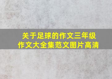 关于足球的作文三年级作文大全集范文图片高清