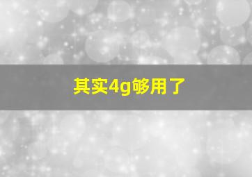 其实4g够用了