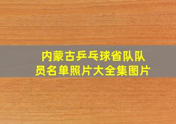 内蒙古乒乓球省队队员名单照片大全集图片