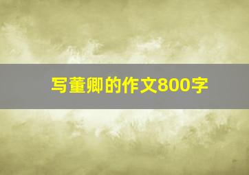 写董卿的作文800字