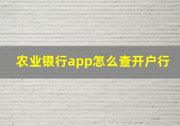 农业银行app怎么查开户行