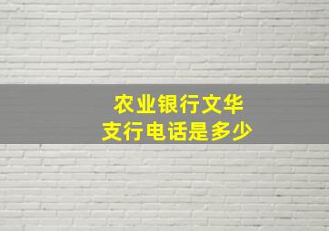 农业银行文华支行电话是多少